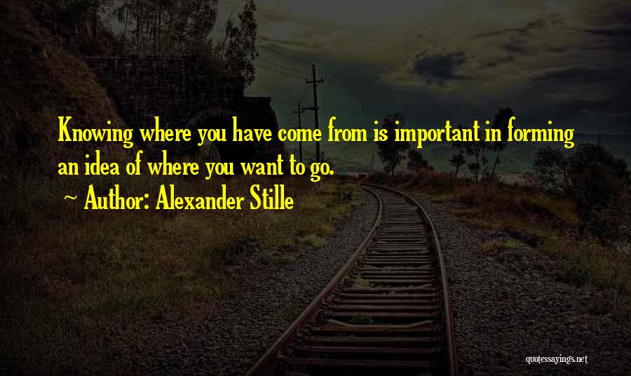 Alexander Stille Quotes: Knowing Where You Have Come From Is Important In Forming An Idea Of Where You Want To Go.