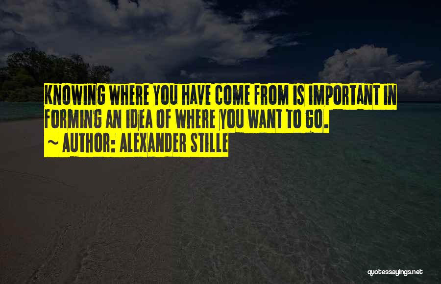 Alexander Stille Quotes: Knowing Where You Have Come From Is Important In Forming An Idea Of Where You Want To Go.