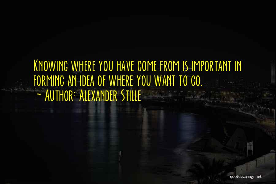 Alexander Stille Quotes: Knowing Where You Have Come From Is Important In Forming An Idea Of Where You Want To Go.