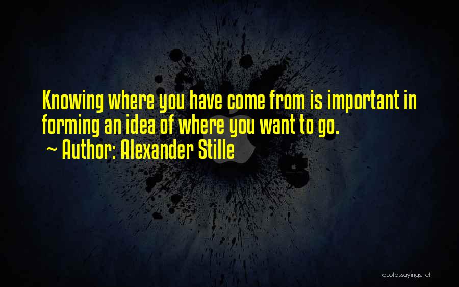 Alexander Stille Quotes: Knowing Where You Have Come From Is Important In Forming An Idea Of Where You Want To Go.