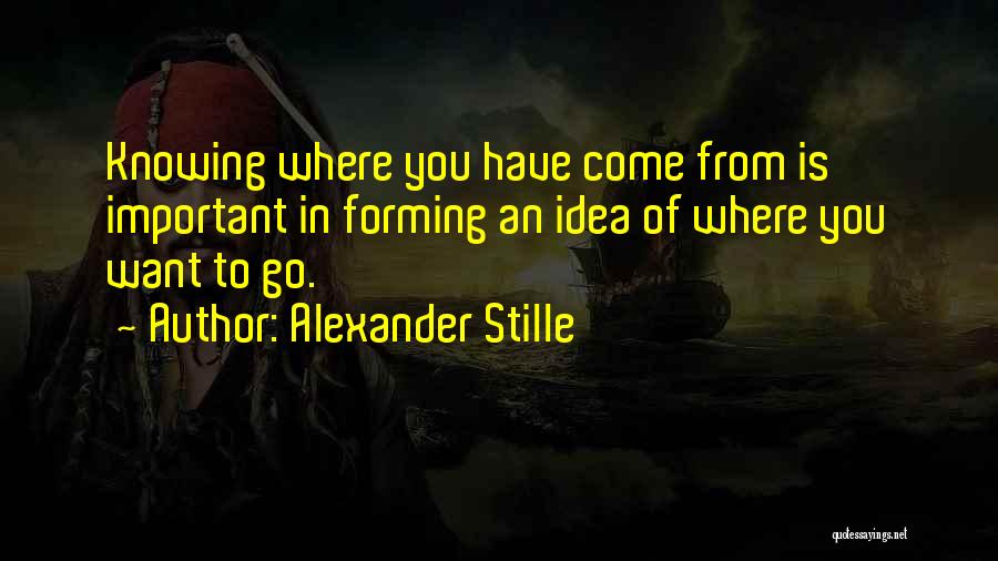 Alexander Stille Quotes: Knowing Where You Have Come From Is Important In Forming An Idea Of Where You Want To Go.