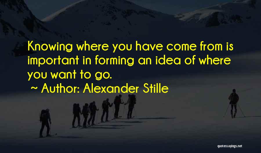 Alexander Stille Quotes: Knowing Where You Have Come From Is Important In Forming An Idea Of Where You Want To Go.