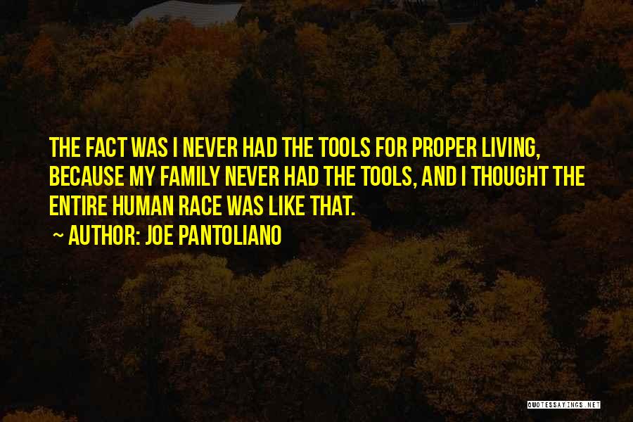 Joe Pantoliano Quotes: The Fact Was I Never Had The Tools For Proper Living, Because My Family Never Had The Tools, And I