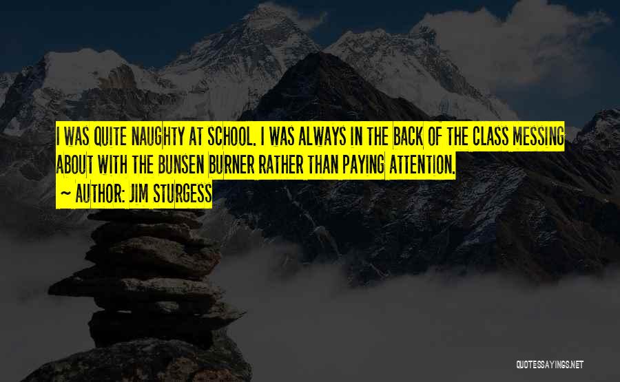 Jim Sturgess Quotes: I Was Quite Naughty At School. I Was Always In The Back Of The Class Messing About With The Bunsen