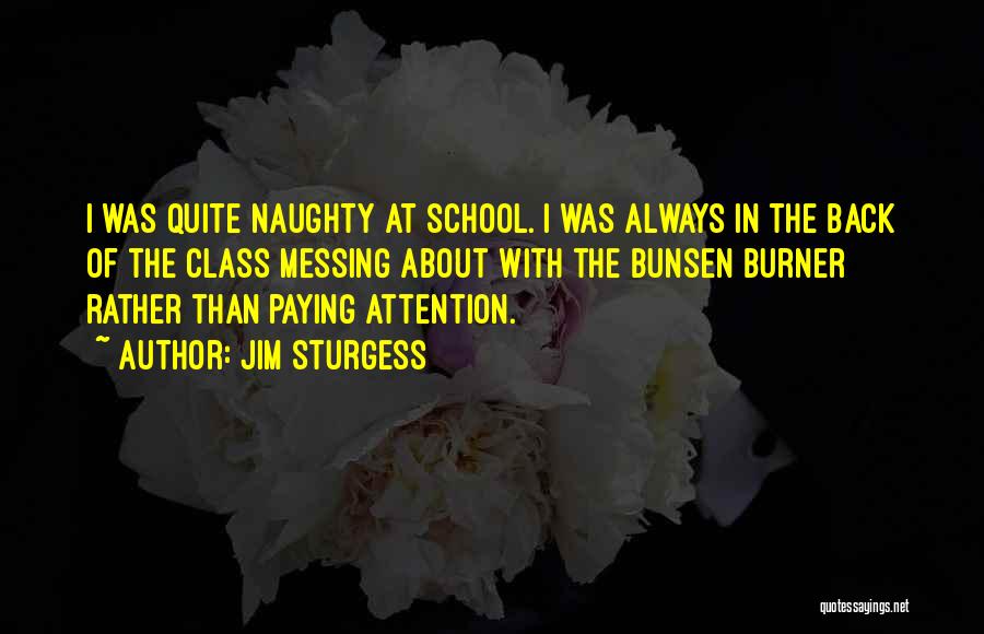 Jim Sturgess Quotes: I Was Quite Naughty At School. I Was Always In The Back Of The Class Messing About With The Bunsen
