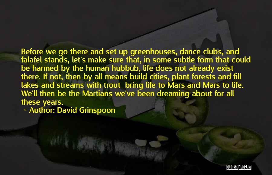 David Grinspoon Quotes: Before We Go There And Set Up Greenhouses, Dance Clubs, And Falafel Stands, Let's Make Sure That, In Some Subtle