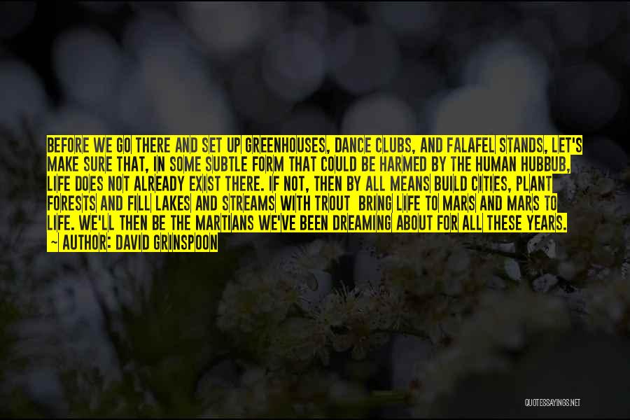 David Grinspoon Quotes: Before We Go There And Set Up Greenhouses, Dance Clubs, And Falafel Stands, Let's Make Sure That, In Some Subtle