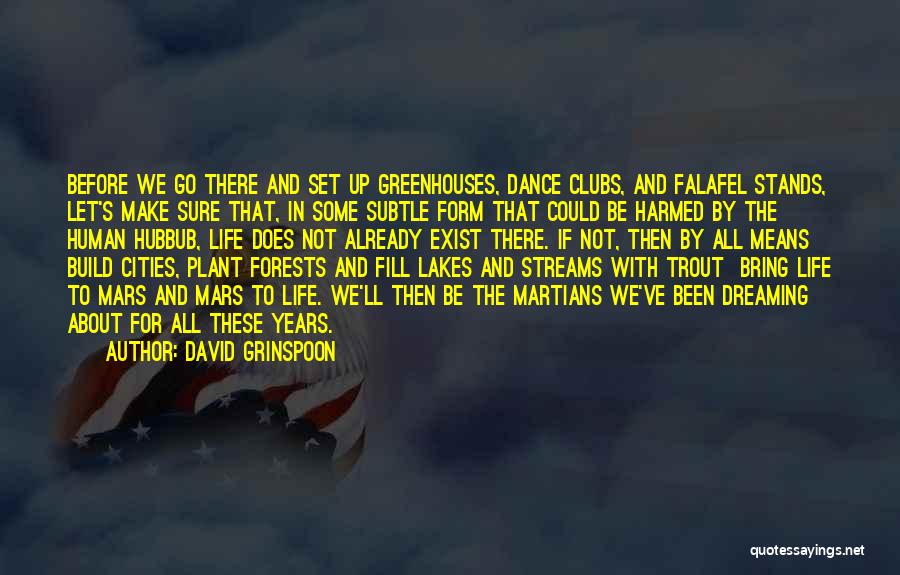 David Grinspoon Quotes: Before We Go There And Set Up Greenhouses, Dance Clubs, And Falafel Stands, Let's Make Sure That, In Some Subtle