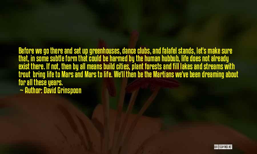 David Grinspoon Quotes: Before We Go There And Set Up Greenhouses, Dance Clubs, And Falafel Stands, Let's Make Sure That, In Some Subtle