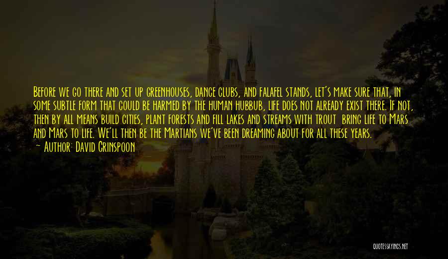 David Grinspoon Quotes: Before We Go There And Set Up Greenhouses, Dance Clubs, And Falafel Stands, Let's Make Sure That, In Some Subtle