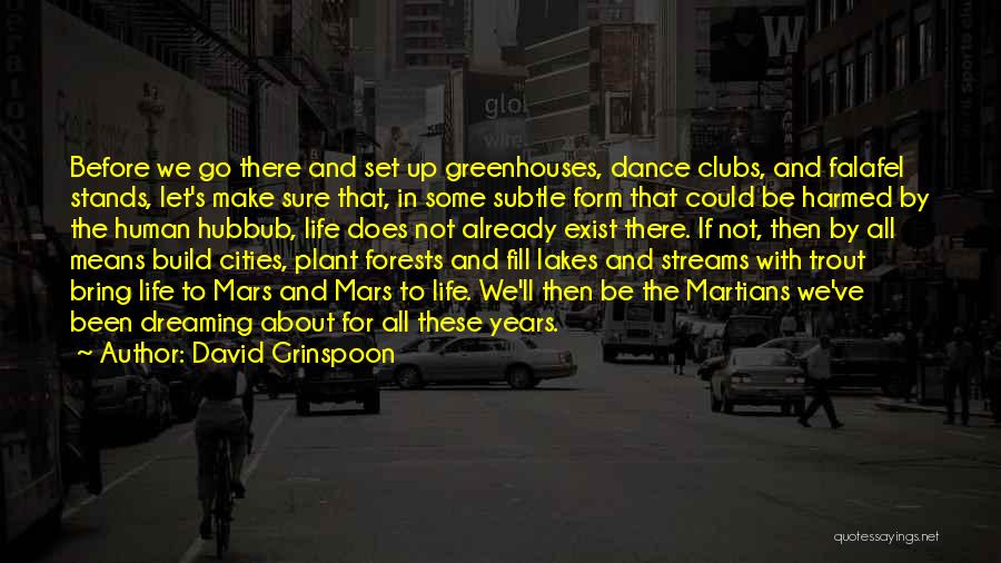 David Grinspoon Quotes: Before We Go There And Set Up Greenhouses, Dance Clubs, And Falafel Stands, Let's Make Sure That, In Some Subtle