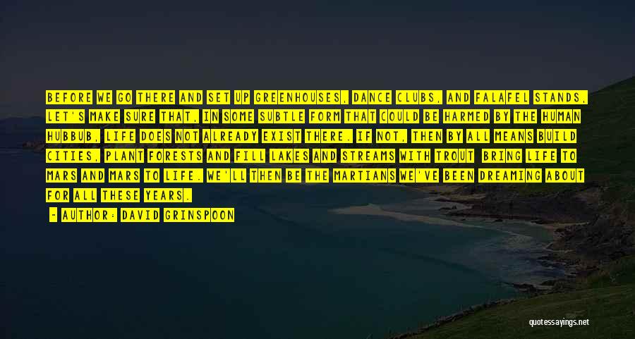 David Grinspoon Quotes: Before We Go There And Set Up Greenhouses, Dance Clubs, And Falafel Stands, Let's Make Sure That, In Some Subtle