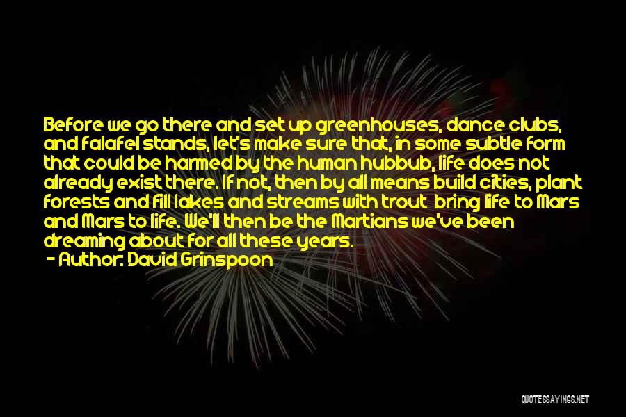 David Grinspoon Quotes: Before We Go There And Set Up Greenhouses, Dance Clubs, And Falafel Stands, Let's Make Sure That, In Some Subtle