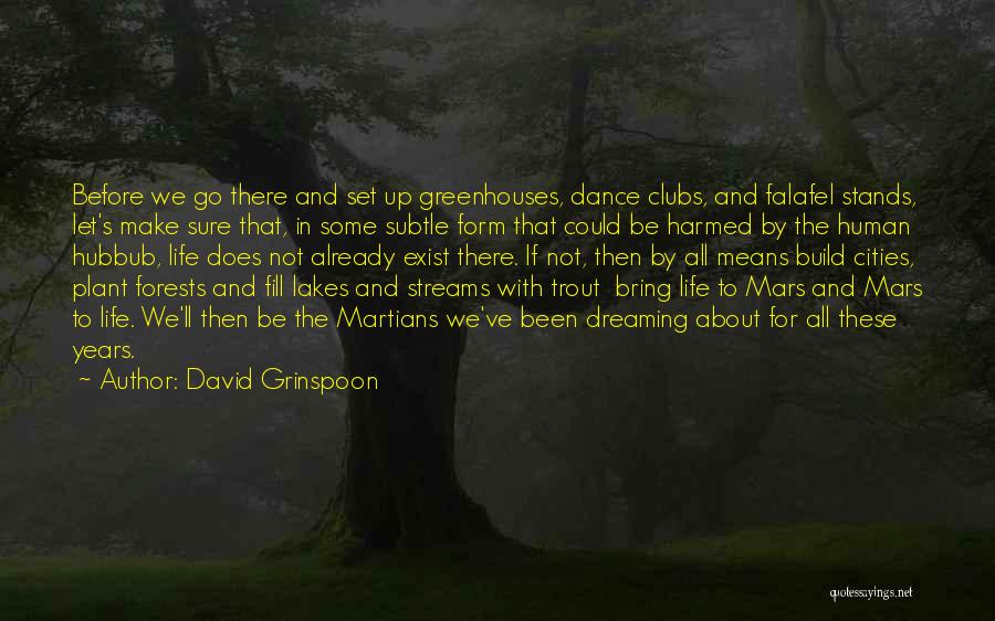 David Grinspoon Quotes: Before We Go There And Set Up Greenhouses, Dance Clubs, And Falafel Stands, Let's Make Sure That, In Some Subtle