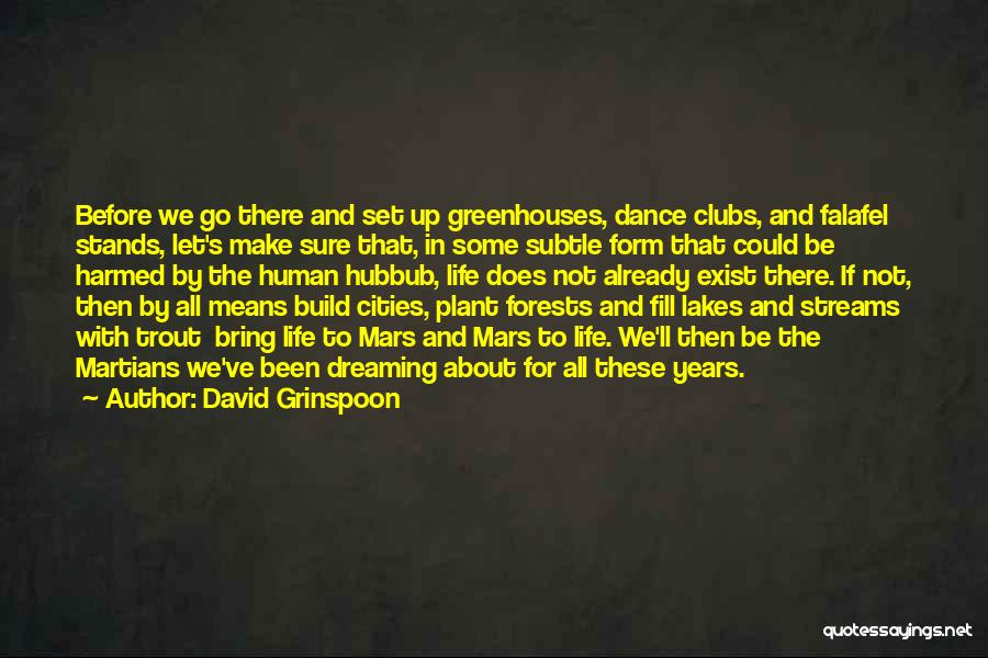David Grinspoon Quotes: Before We Go There And Set Up Greenhouses, Dance Clubs, And Falafel Stands, Let's Make Sure That, In Some Subtle
