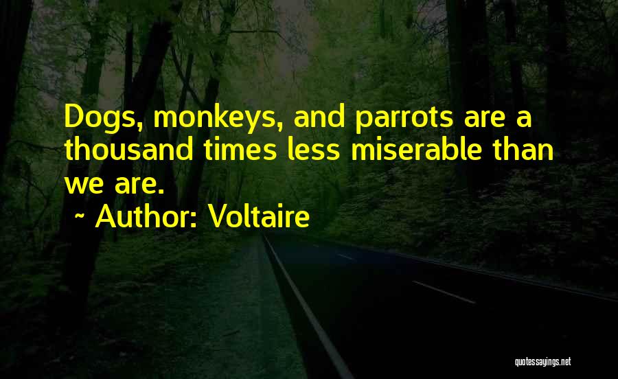 Voltaire Quotes: Dogs, Monkeys, And Parrots Are A Thousand Times Less Miserable Than We Are.