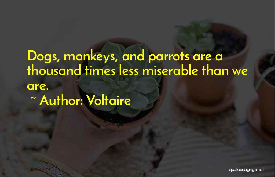 Voltaire Quotes: Dogs, Monkeys, And Parrots Are A Thousand Times Less Miserable Than We Are.