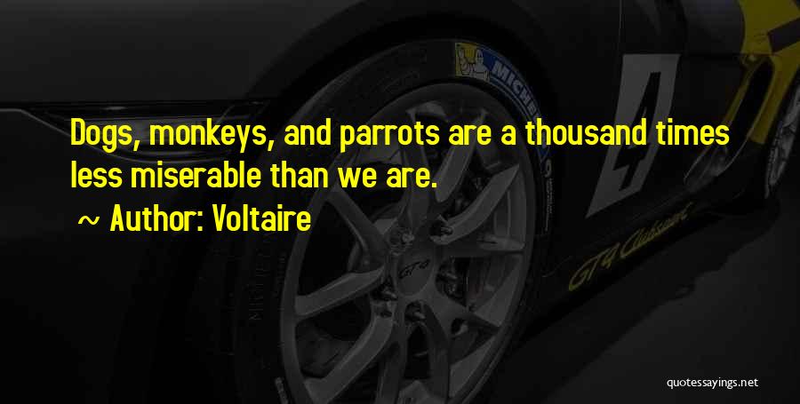 Voltaire Quotes: Dogs, Monkeys, And Parrots Are A Thousand Times Less Miserable Than We Are.