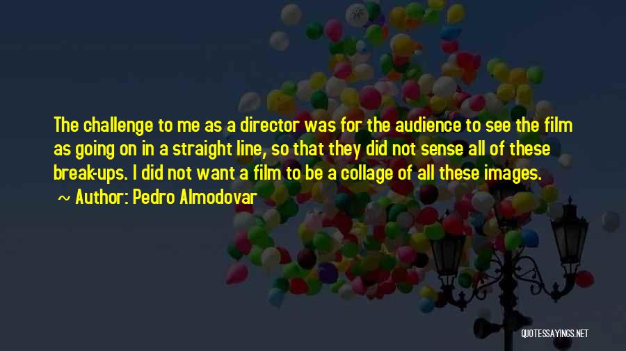Pedro Almodovar Quotes: The Challenge To Me As A Director Was For The Audience To See The Film As Going On In A