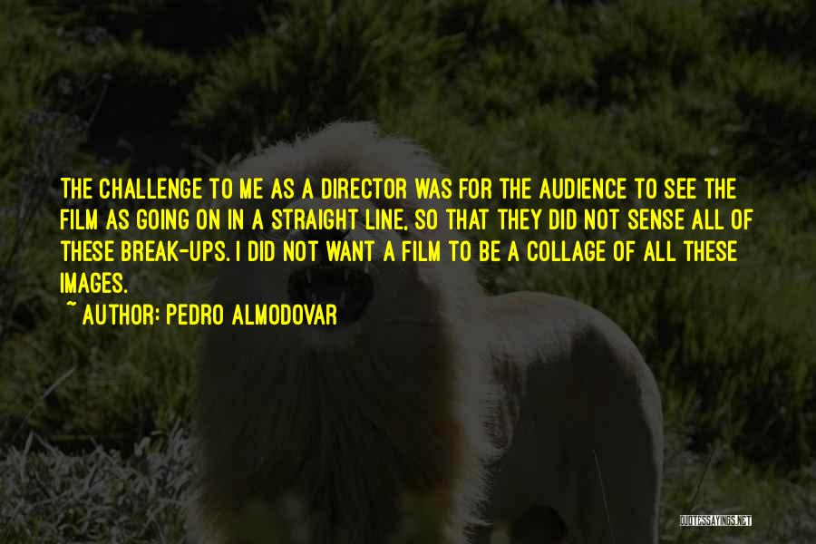 Pedro Almodovar Quotes: The Challenge To Me As A Director Was For The Audience To See The Film As Going On In A