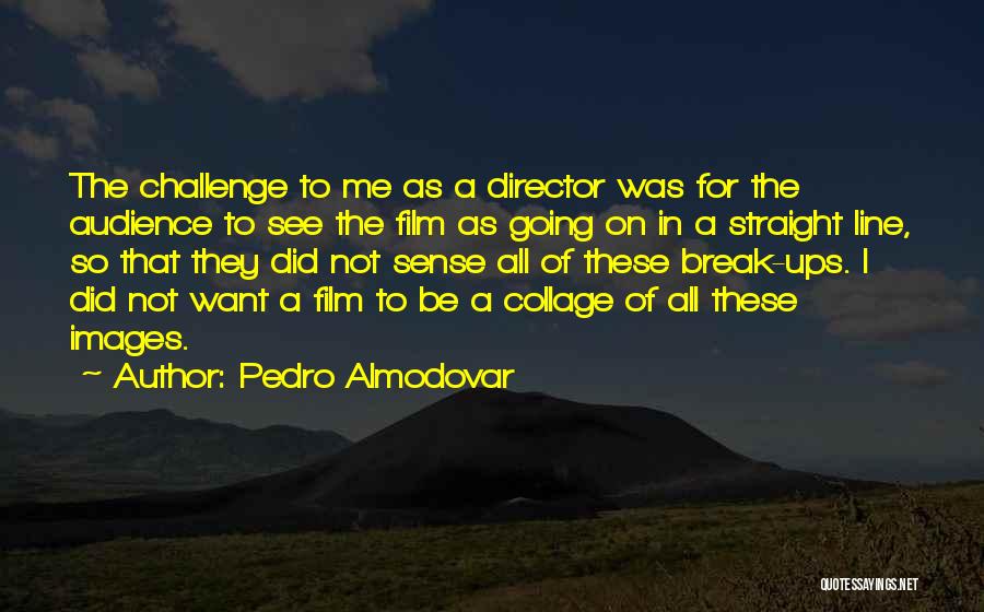 Pedro Almodovar Quotes: The Challenge To Me As A Director Was For The Audience To See The Film As Going On In A