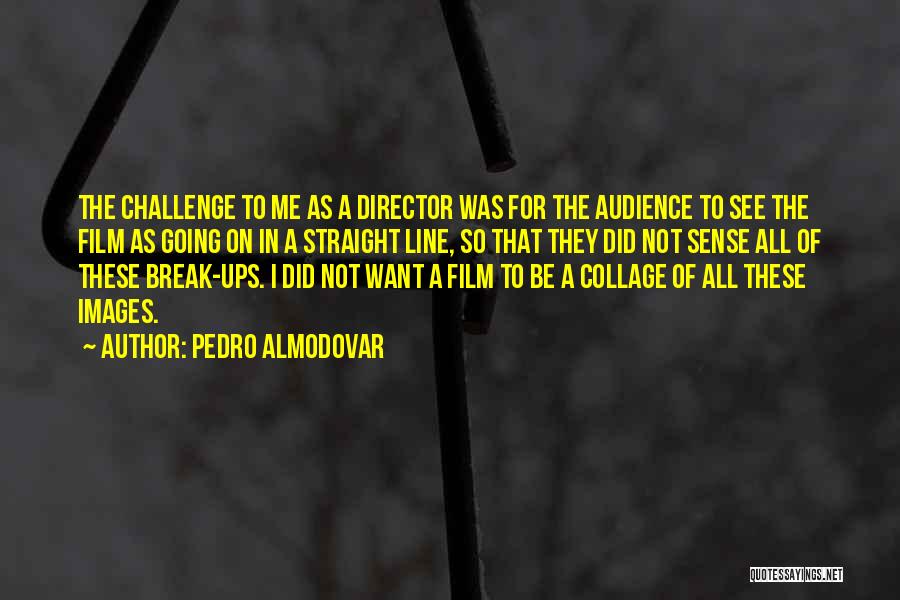 Pedro Almodovar Quotes: The Challenge To Me As A Director Was For The Audience To See The Film As Going On In A