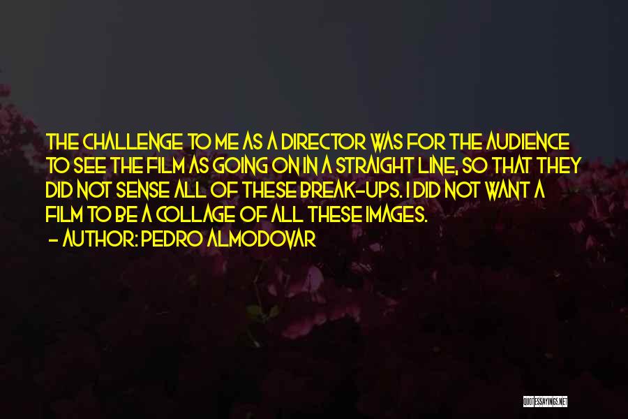 Pedro Almodovar Quotes: The Challenge To Me As A Director Was For The Audience To See The Film As Going On In A