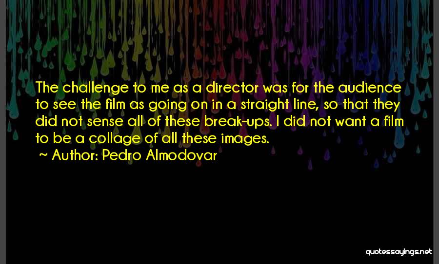 Pedro Almodovar Quotes: The Challenge To Me As A Director Was For The Audience To See The Film As Going On In A