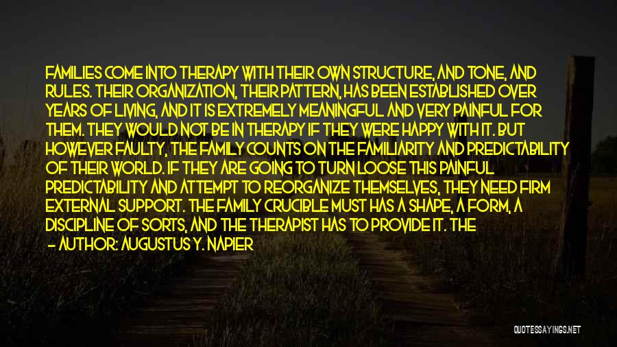 Augustus Y. Napier Quotes: Families Come Into Therapy With Their Own Structure, And Tone, And Rules. Their Organization, Their Pattern, Has Been Established Over