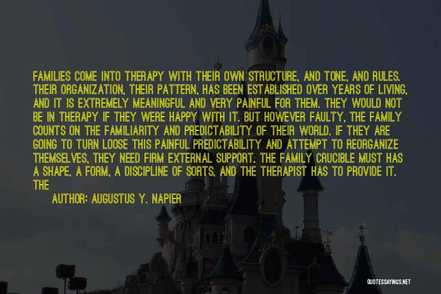 Augustus Y. Napier Quotes: Families Come Into Therapy With Their Own Structure, And Tone, And Rules. Their Organization, Their Pattern, Has Been Established Over