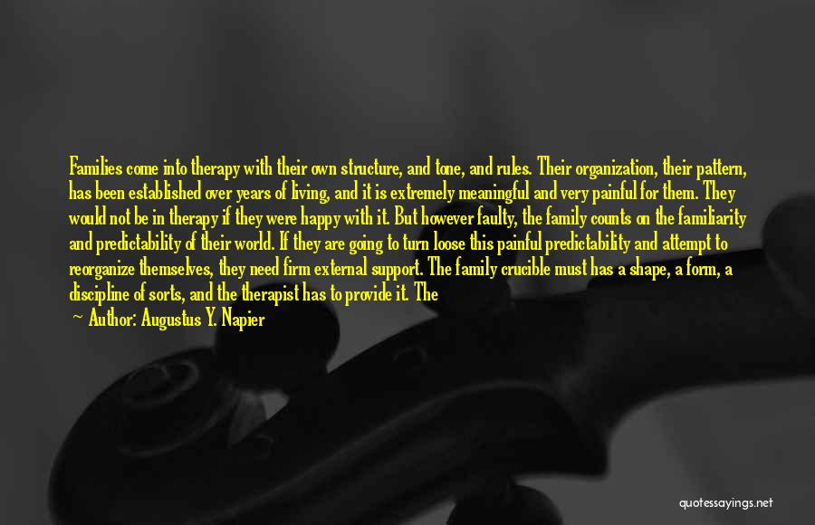 Augustus Y. Napier Quotes: Families Come Into Therapy With Their Own Structure, And Tone, And Rules. Their Organization, Their Pattern, Has Been Established Over