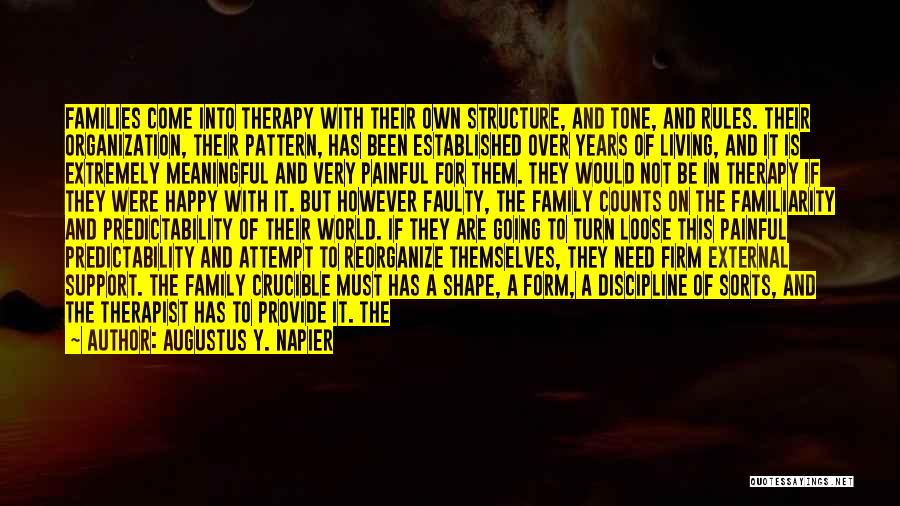 Augustus Y. Napier Quotes: Families Come Into Therapy With Their Own Structure, And Tone, And Rules. Their Organization, Their Pattern, Has Been Established Over