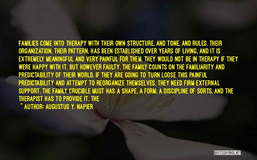 Augustus Y. Napier Quotes: Families Come Into Therapy With Their Own Structure, And Tone, And Rules. Their Organization, Their Pattern, Has Been Established Over