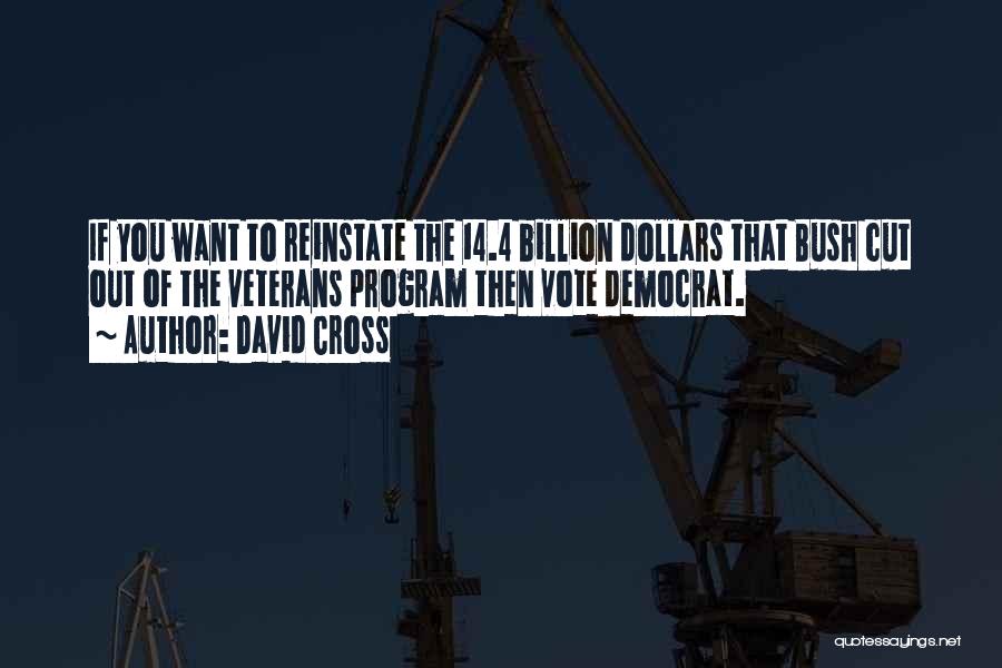 David Cross Quotes: If You Want To Reinstate The 14.4 Billion Dollars That Bush Cut Out Of The Veterans Program Then Vote Democrat.