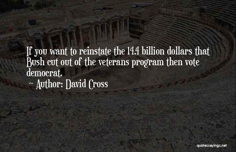 David Cross Quotes: If You Want To Reinstate The 14.4 Billion Dollars That Bush Cut Out Of The Veterans Program Then Vote Democrat.