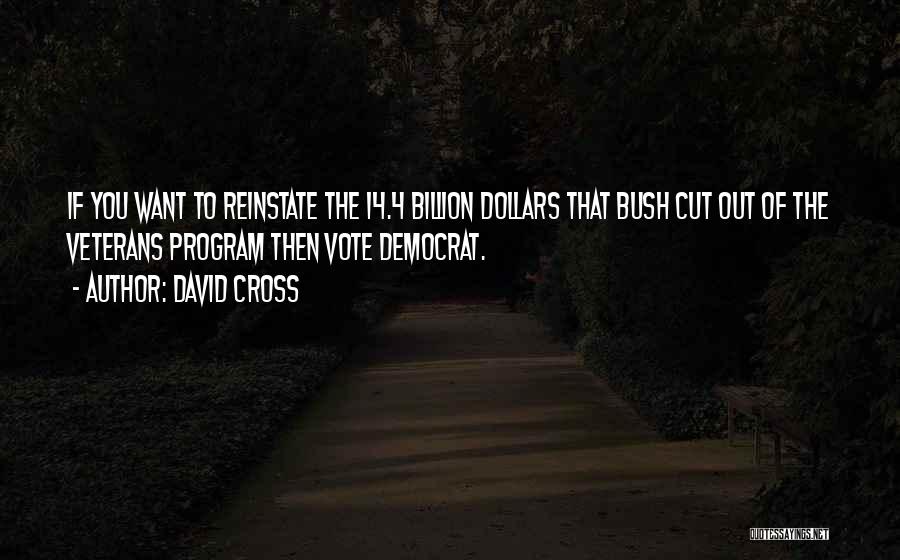 David Cross Quotes: If You Want To Reinstate The 14.4 Billion Dollars That Bush Cut Out Of The Veterans Program Then Vote Democrat.