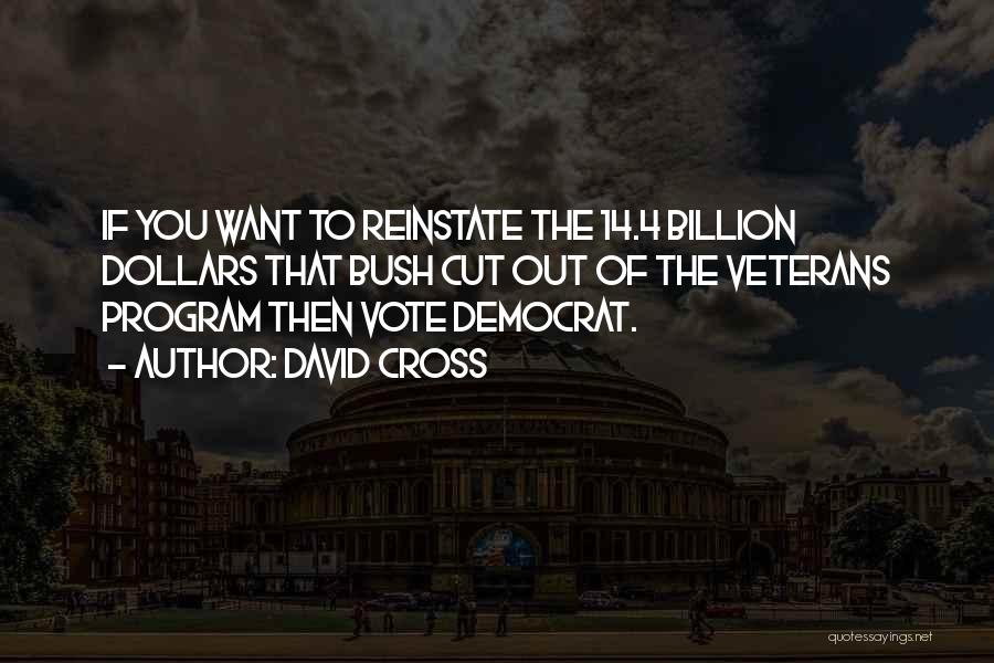 David Cross Quotes: If You Want To Reinstate The 14.4 Billion Dollars That Bush Cut Out Of The Veterans Program Then Vote Democrat.