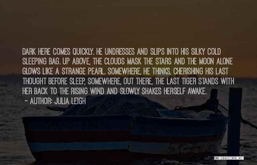 Julia Leigh Quotes: Dark Here Comes Quickly. He Undresses And Slips Into His Silky Cold Sleeping Bag. Up Above, The Clouds Mask The