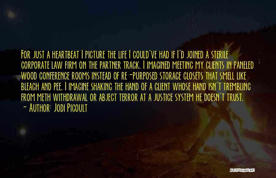 Jodi Picoult Quotes: For Just A Heartbeat I Picture The Life I Could've Had If I'd Joined A Sterile Corporate Law Firm On