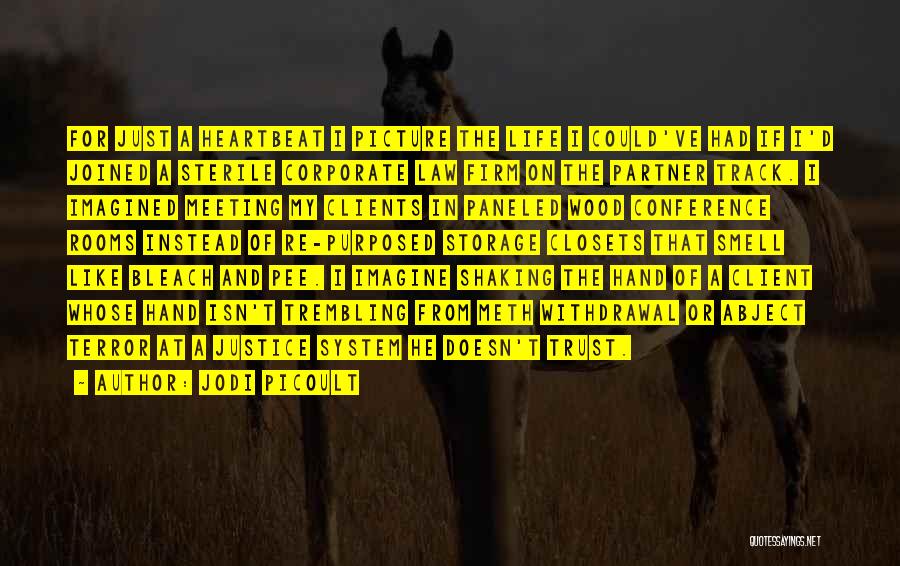 Jodi Picoult Quotes: For Just A Heartbeat I Picture The Life I Could've Had If I'd Joined A Sterile Corporate Law Firm On