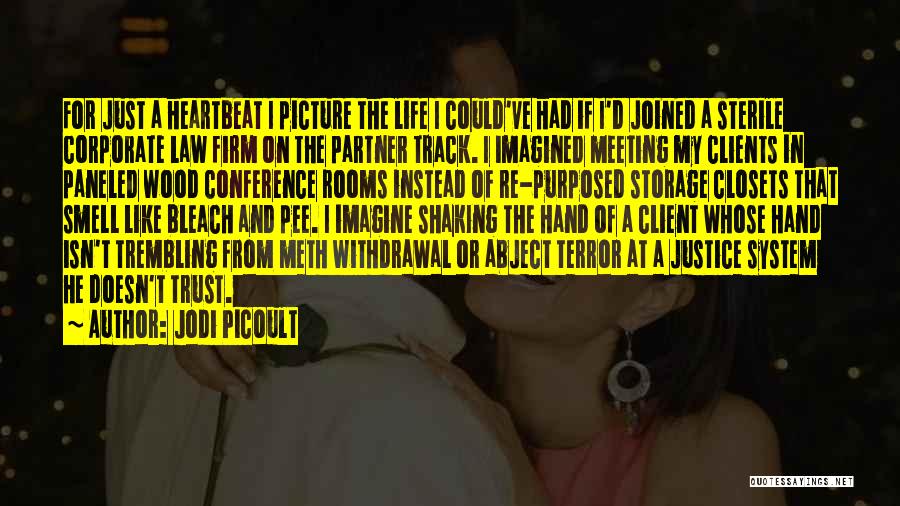 Jodi Picoult Quotes: For Just A Heartbeat I Picture The Life I Could've Had If I'd Joined A Sterile Corporate Law Firm On