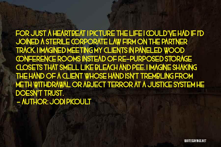 Jodi Picoult Quotes: For Just A Heartbeat I Picture The Life I Could've Had If I'd Joined A Sterile Corporate Law Firm On