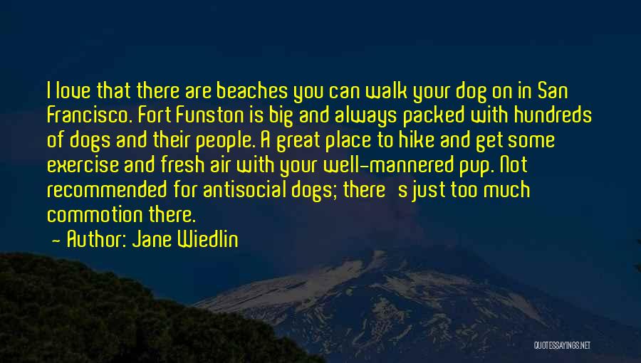 Jane Wiedlin Quotes: I Love That There Are Beaches You Can Walk Your Dog On In San Francisco. Fort Funston Is Big And