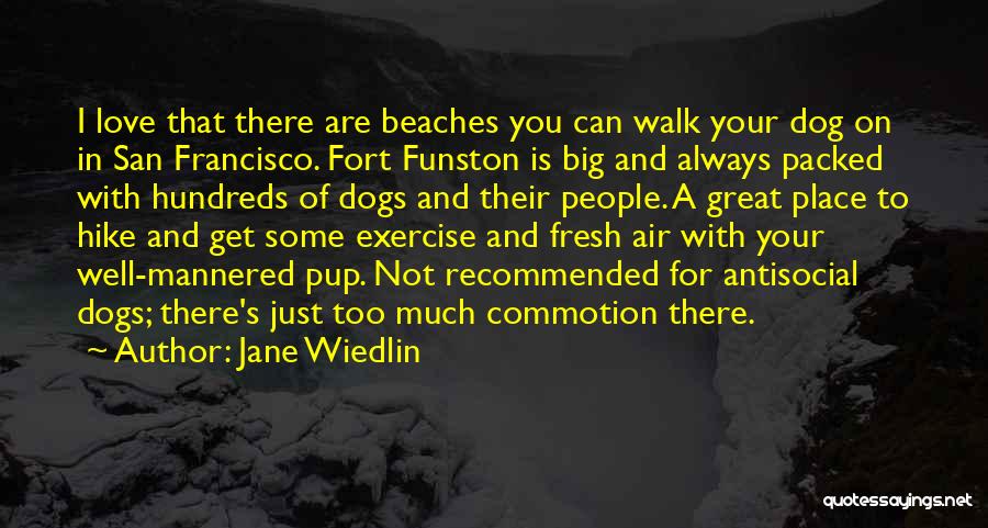 Jane Wiedlin Quotes: I Love That There Are Beaches You Can Walk Your Dog On In San Francisco. Fort Funston Is Big And