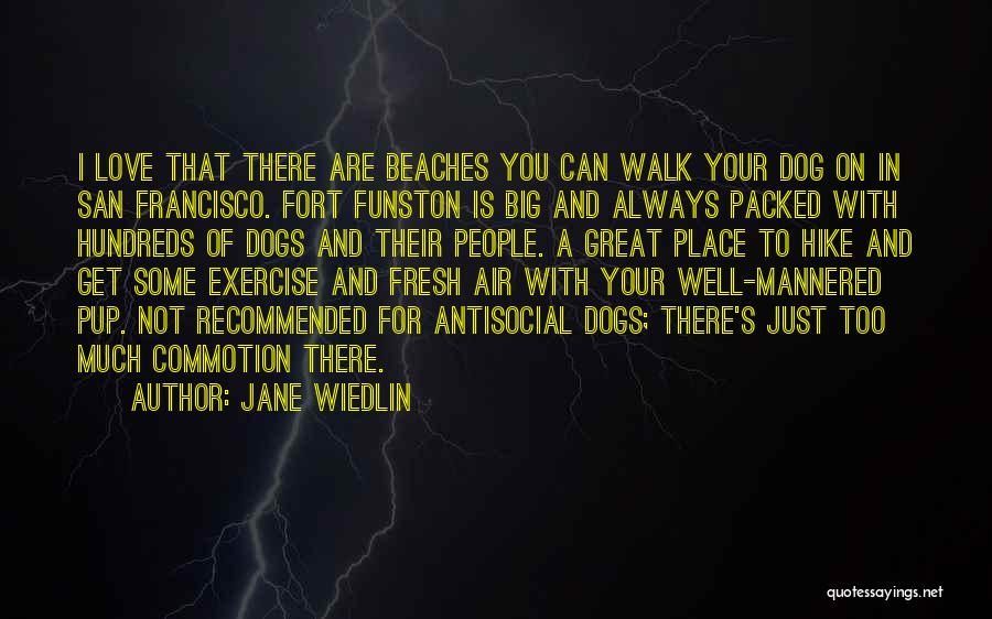 Jane Wiedlin Quotes: I Love That There Are Beaches You Can Walk Your Dog On In San Francisco. Fort Funston Is Big And