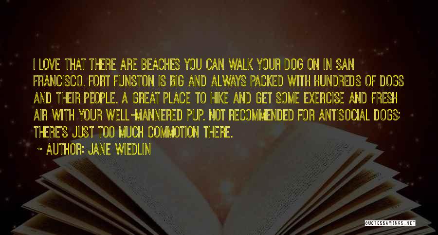 Jane Wiedlin Quotes: I Love That There Are Beaches You Can Walk Your Dog On In San Francisco. Fort Funston Is Big And