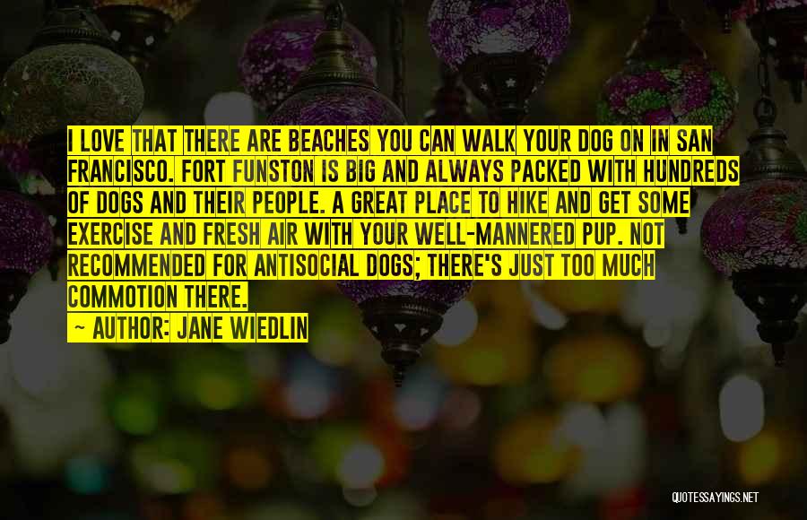 Jane Wiedlin Quotes: I Love That There Are Beaches You Can Walk Your Dog On In San Francisco. Fort Funston Is Big And