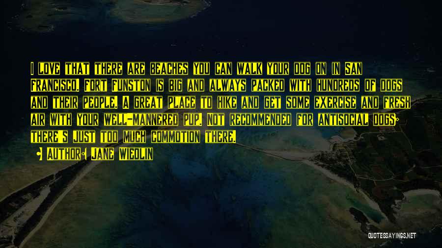 Jane Wiedlin Quotes: I Love That There Are Beaches You Can Walk Your Dog On In San Francisco. Fort Funston Is Big And