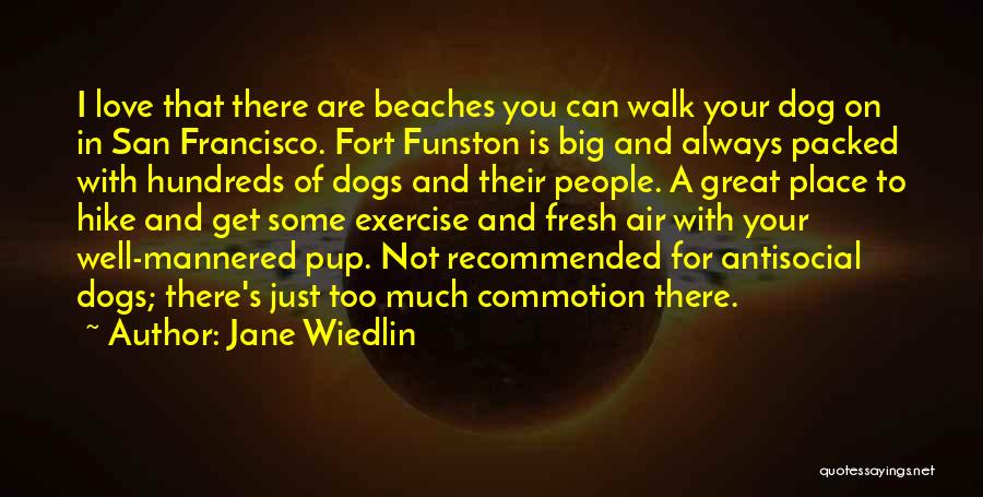 Jane Wiedlin Quotes: I Love That There Are Beaches You Can Walk Your Dog On In San Francisco. Fort Funston Is Big And