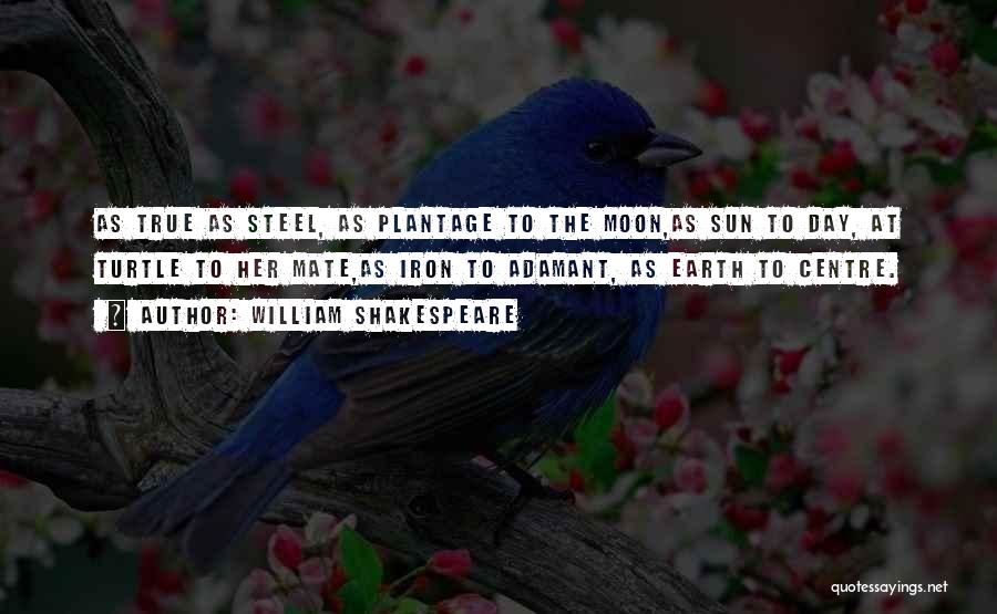 William Shakespeare Quotes: As True As Steel, As Plantage To The Moon,as Sun To Day, At Turtle To Her Mate,as Iron To Adamant,